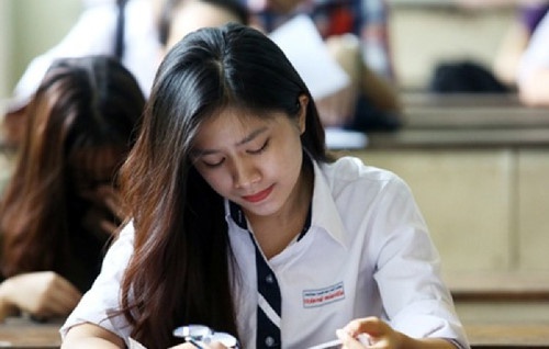 ANH 6