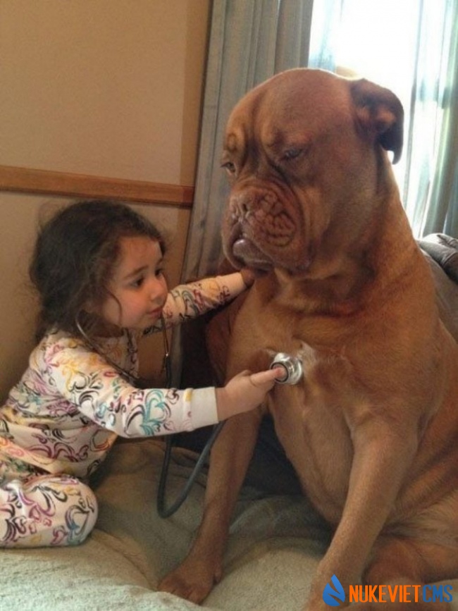 Cô có thể gục vào lòng tôi