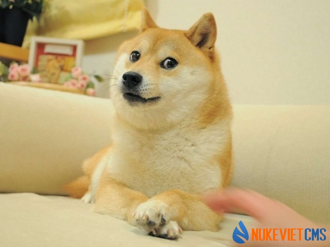 Cô có thể gục vào lòng tôi