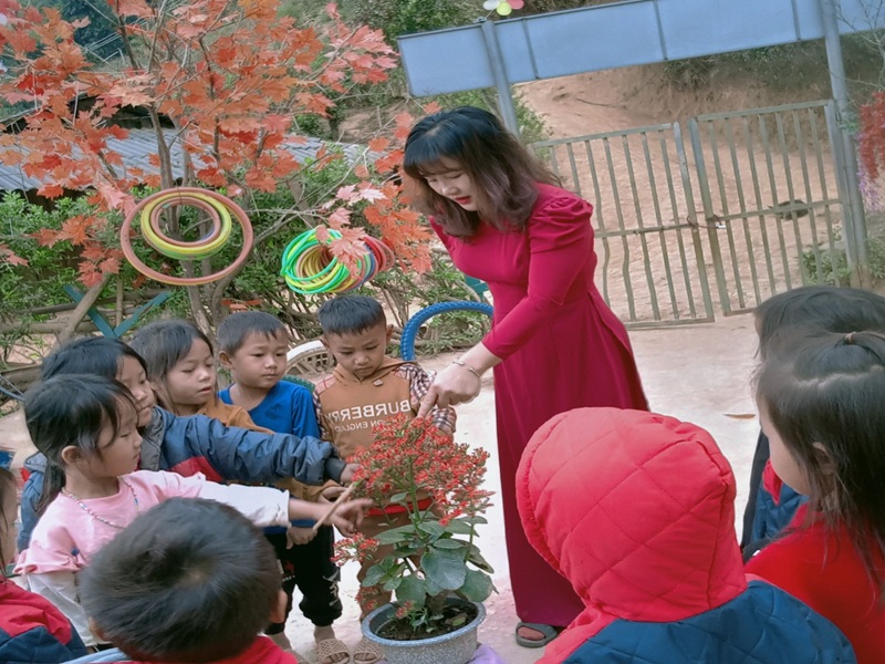 Hoạt động chuyên môn